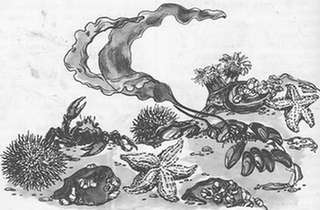 Подводная газета - _121.jpg