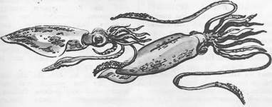 Подводная газета - _122.jpg