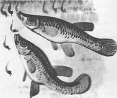 Подводная газета - _138.jpg