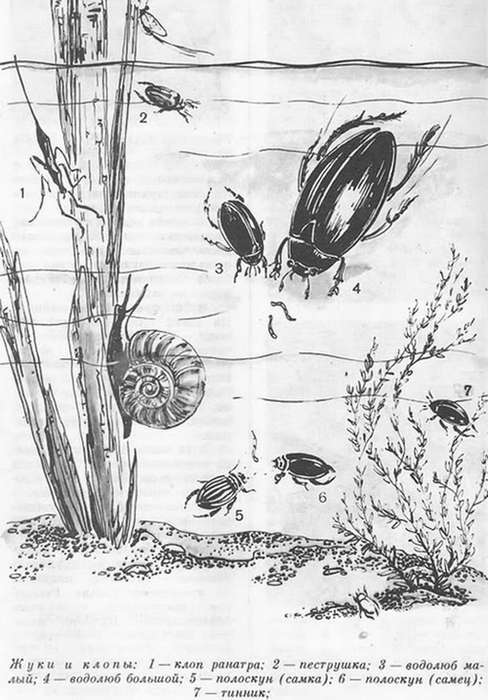 Подводная газета - _172.jpg