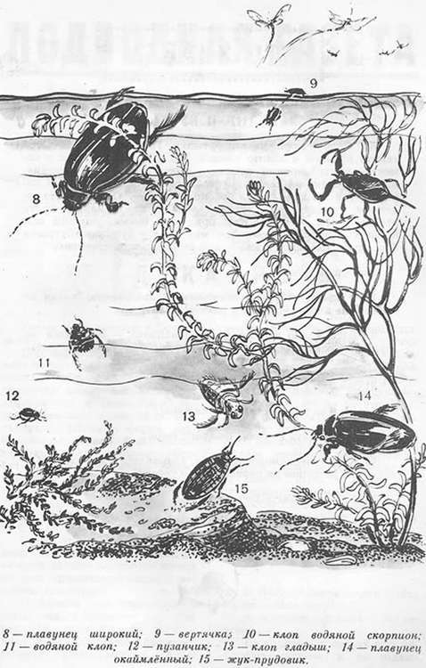 Подводная газета - _173.jpg