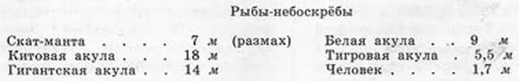 Подводная газета - _201.jpg