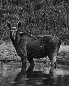 Под шапкой-невидимкой - _028.jpg