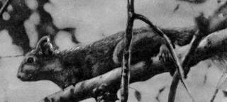 Под шапкой-невидимкой - _051.jpg