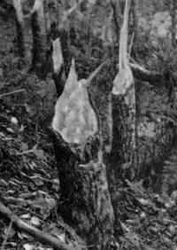 Под шапкой-невидимкой - _068.jpg