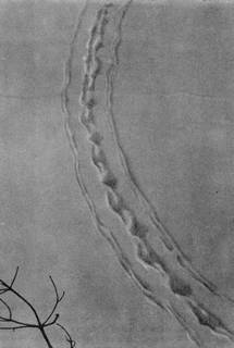 Под шапкой-невидимкой - _070.jpg