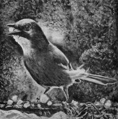 Под шапкой-невидимкой - _080.jpg