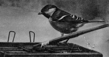 Под шапкой-невидимкой - _090.jpg