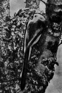 Под шапкой-невидимкой - _093.jpg