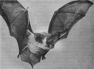 Под шапкой-невидимкой - _101.jpg