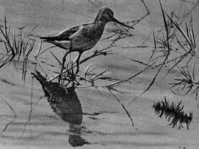 Под шапкой-невидимкой - _116.jpg