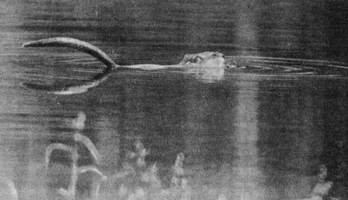 Под шапкой-невидимкой - _119.jpg