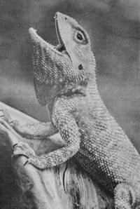 Под шапкой-невидимкой - _129.jpg