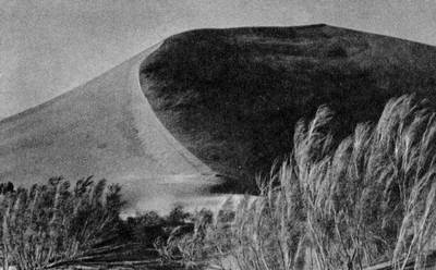 Под шапкой-невидимкой - _130.jpg