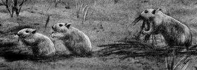 Под шапкой-невидимкой - _136.jpg