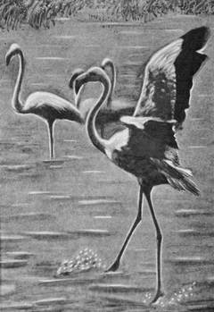 Под шапкой-невидимкой - _138.jpg