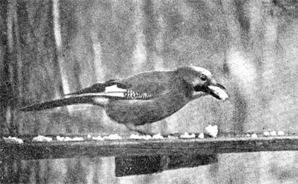 Силуэты на облаках - i_092.jpg