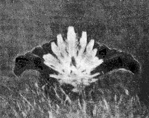 Силуэты на облаках - i_110.jpg