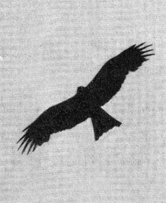 Силуэты на облаках - i_150.jpg