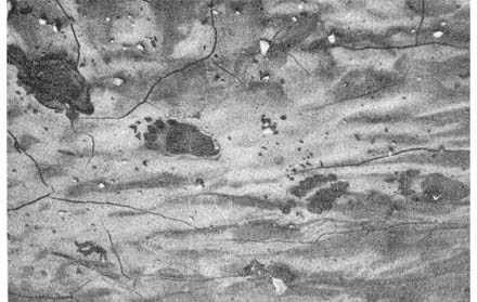 Силуэты на облаках - i_153.jpg