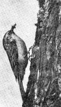 Силуэты на облаках - i_168.jpg