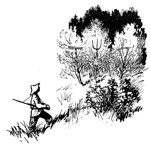 Трясогузкины письма - i_039.png