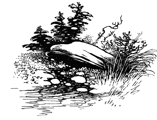 Трясогузкины письма - i_040.png