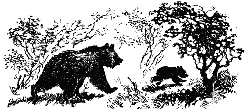 Трясогузкины письма - i_042.png