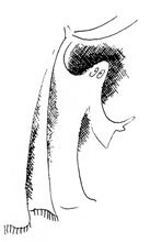 Хочу все знать 1970 - _238_Prividenie.jpg