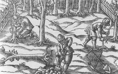 Повседневная жизнь англичан в эпоху Шекспира - img28EE.jpg