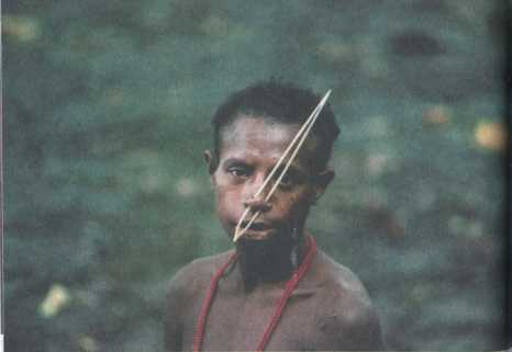 Ребенок джунглей: Реальные события - i_031.jpg