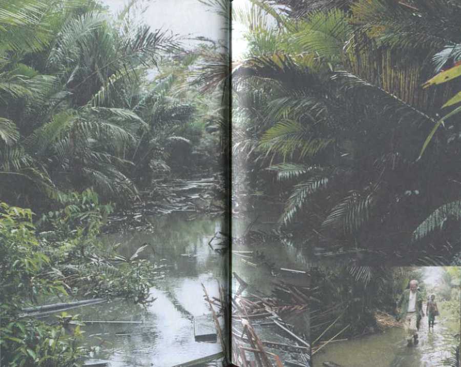 Ребенок джунглей: Реальные события - i_039.jpg