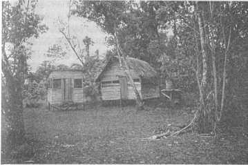 Ребенок джунглей: Реальные события - i_049.jpg