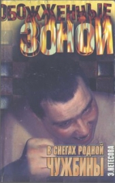 В снегах родной чужбины - автор Нетесова Эльмира Анатольевна 