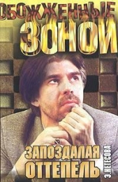 Запоздалая оттепель. Кэрны - автор Нетесова Эльмира Анатольевна 