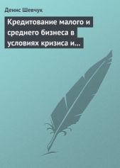  Шевчук Денис Александрович - Кредитование малого и среднего бизнеса в условиях кризиса и финансовой нестабильности