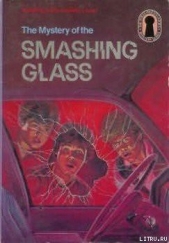Тайна разбитых стекол - автор Арден Уильям 