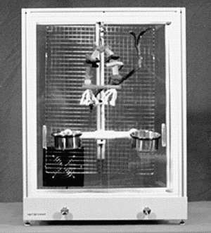 Кореллы - i_013.jpg