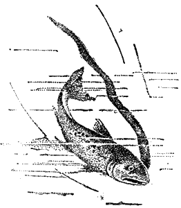 Всемирный следопыт, 1928 № 12 - i_029.png