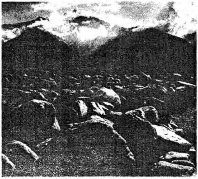 Человек и его символы - _18.preview.jpg