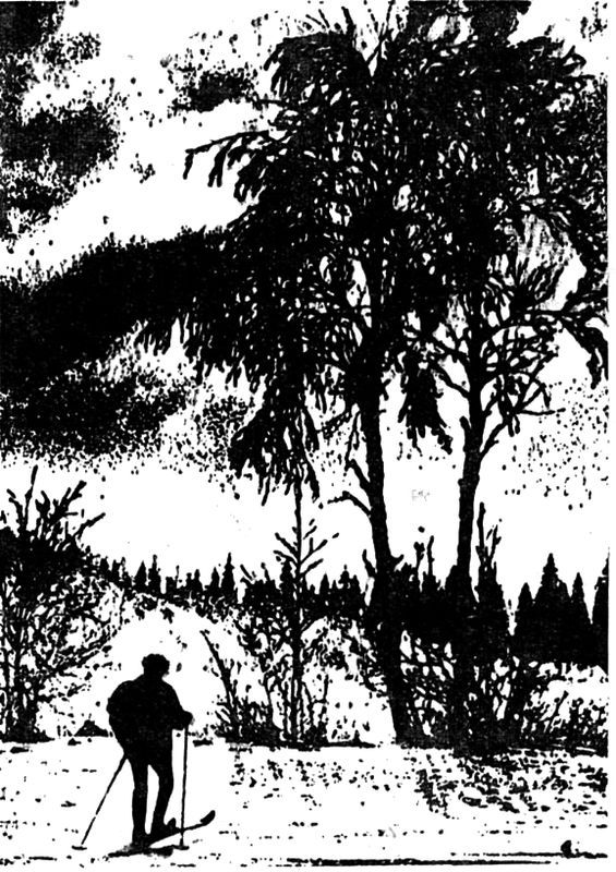 Выстрел в Орельей Гриве (илл.) - i_002.jpg