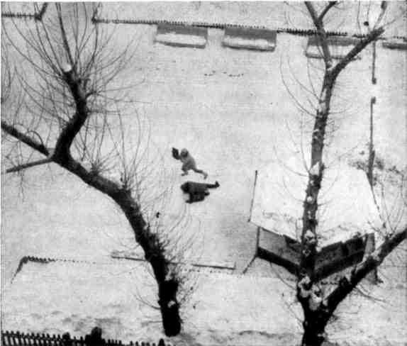 Три кинокомедии - img_22.jpeg