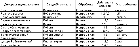 Встреча с Кощеем Бессмертным. Практика бессмертия - i_102.png