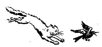 Катя и Крокодил (илл. Калаушина Б.М.) - pic_89.png