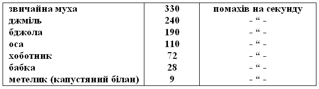 В країні дрімучих трав - aa1.png