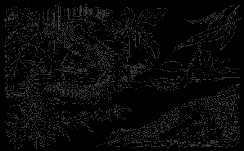 В країні дрімучих трав - doc2fb_image_03000004.png