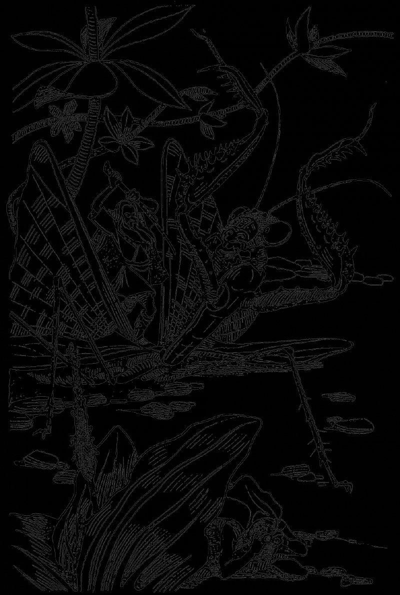 В країні дрімучих трав - doc2fb_image_0300000B.png