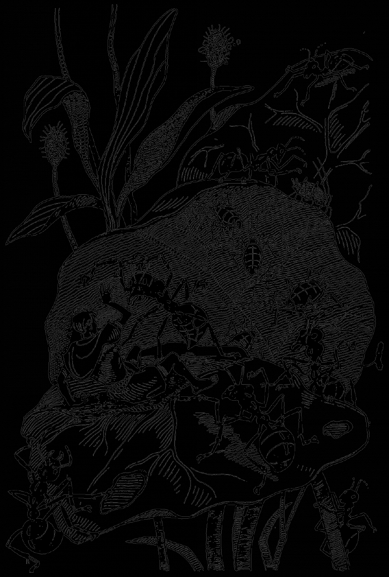 В країні дрімучих трав - doc2fb_image_0300000C.png