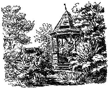 В Стране Дремучих Трав (изд. 1962) - i_02.png