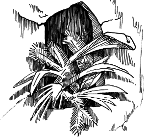 Таємничий острів - i_089.png